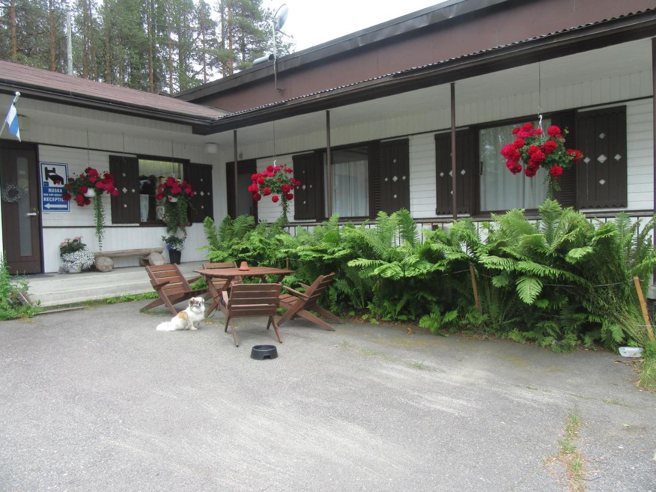 Ruska Bed & Breakfast Bed and Breakfast Taivalkoski Buitenkant foto